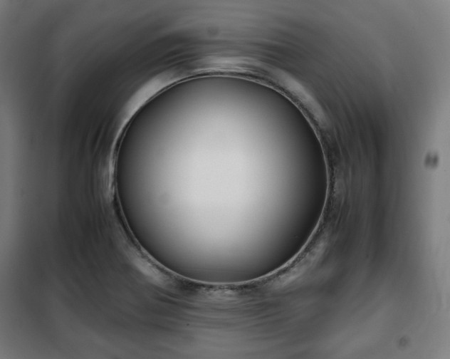X0000102011370200807251258