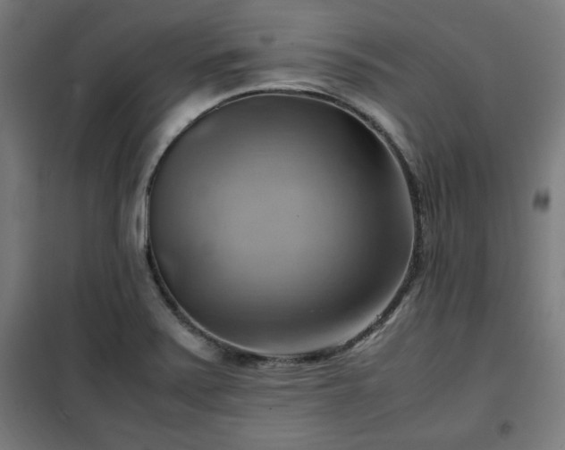 X0000102011371200807251258