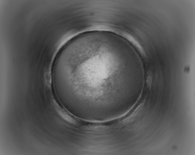 X0000102011372200807251258