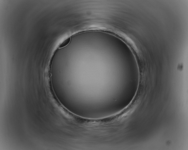 X0000102011373200807251258
