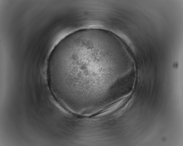 X0000102011374200807251258
