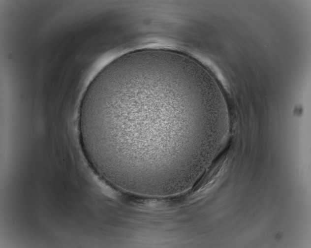 X0000102011375200807251258