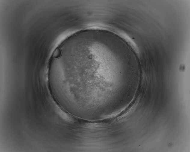 X0000102011376200807251258