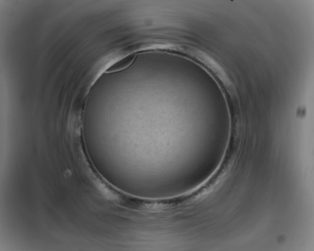 X0000102011377200807251258