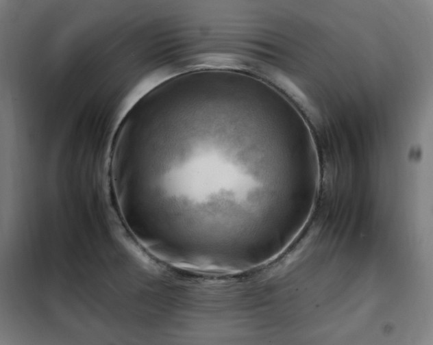 X0000102011378200807251258