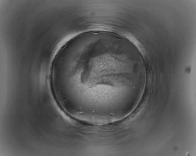 X0000102011379200807251258