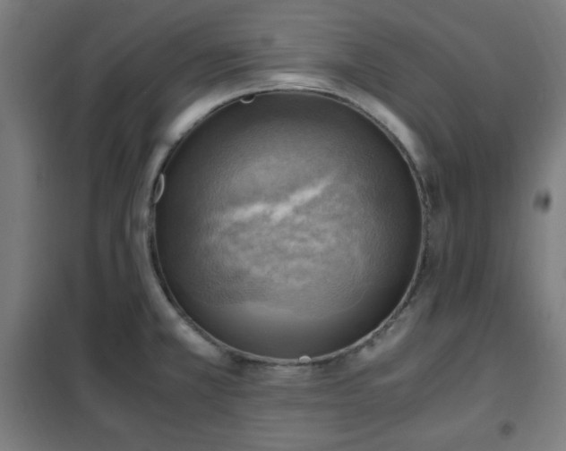 X0000102011381200807251258
