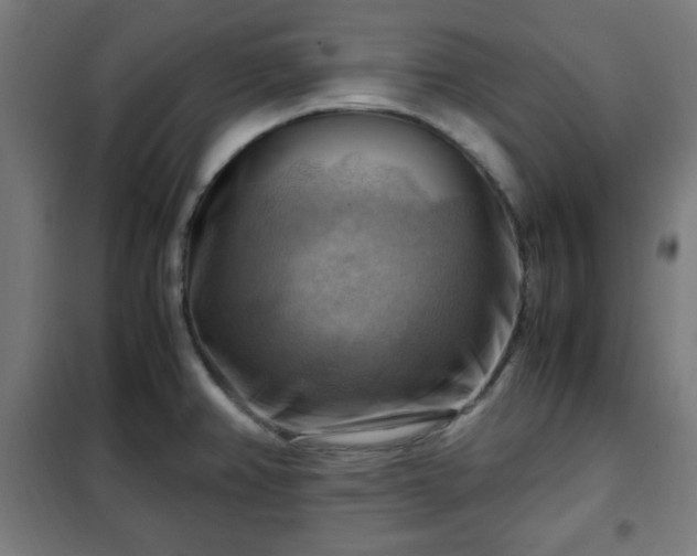 X0000102011382200807251258