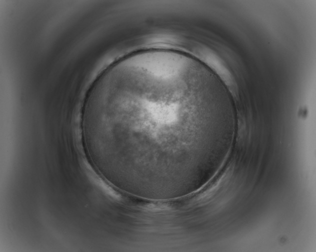 X0000102011384200807251258