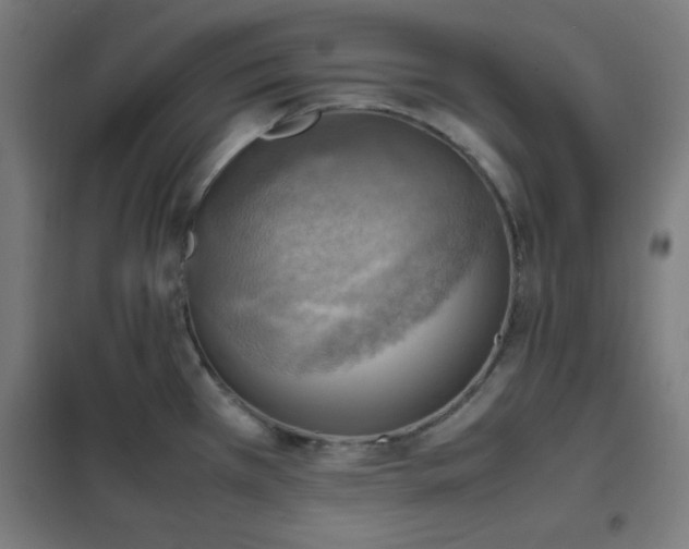 X0000102011385200807251258