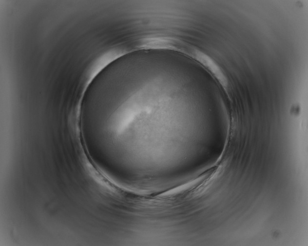 X0000102011386200807251258
