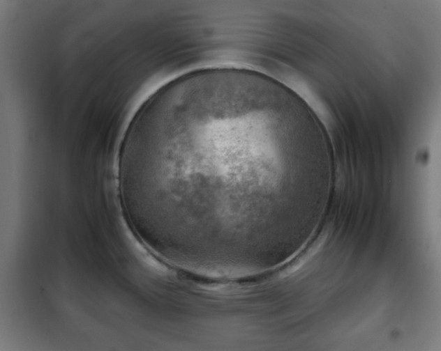 X0000102011388200807251258