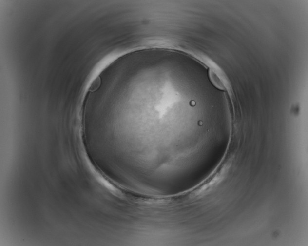 X0000102011389200807251258