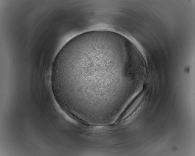 X0000102011390200807251258
