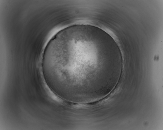 X0000102011392200807251258