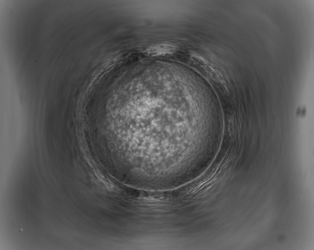 X0000102011393200807251257