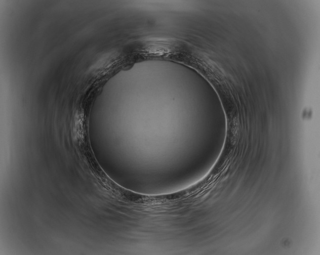 X0000102011394200807251257