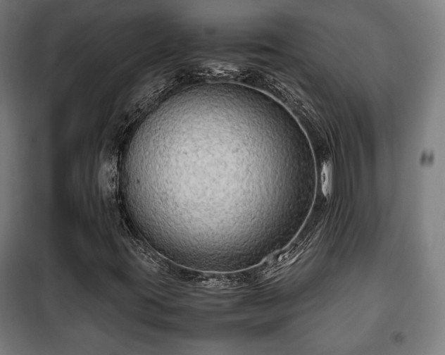 X0000102011395200807251257