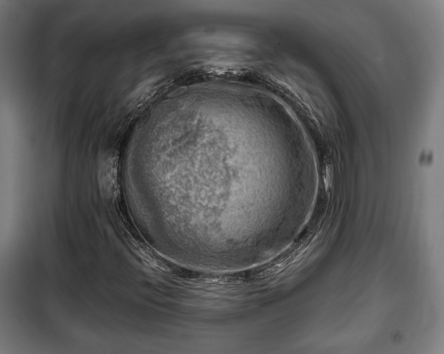 X0000102011396200807251257