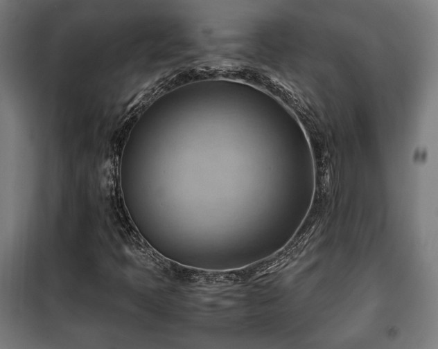 X0000102011397200807251257