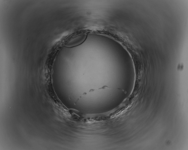 X0000102011398200807251257
