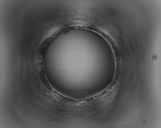 X0000102011399200807251257