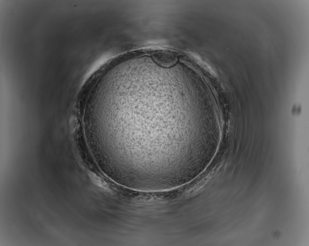 X0000102011400200807251257