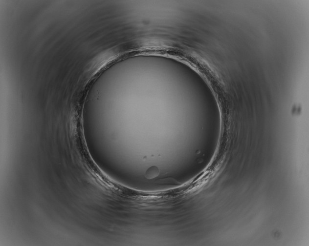 X0000102011401200807251257