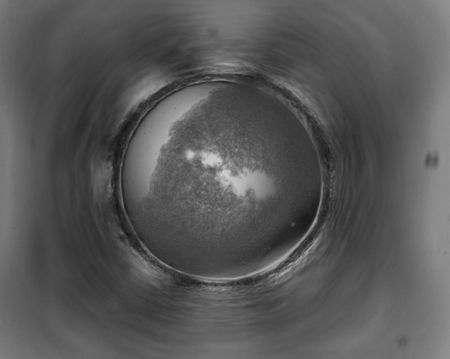 X0000102011402200807251257