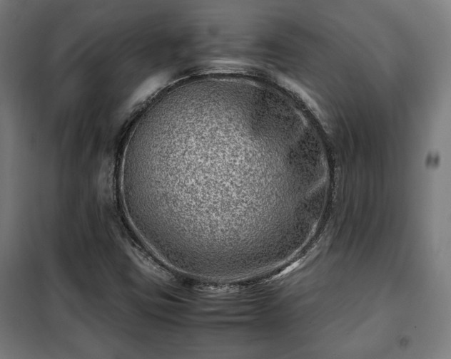 X0000102011403200807251257