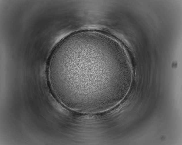 X0000102011404200807251257