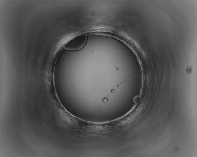 X0000102011405200807251257