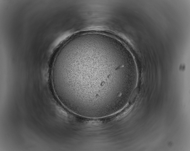 X0000102011406200807251257