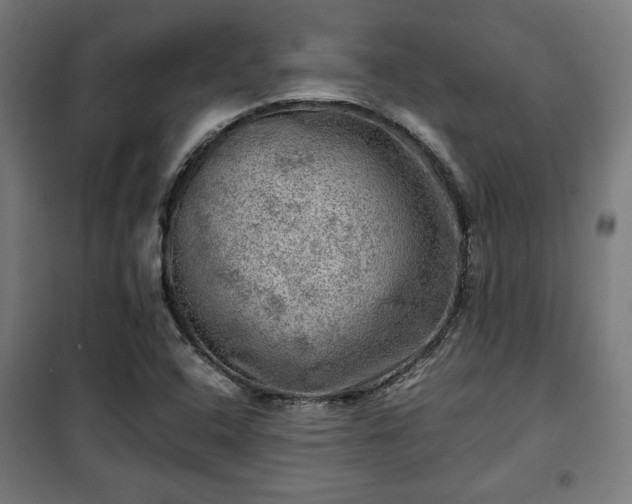 X0000102011408200807251257