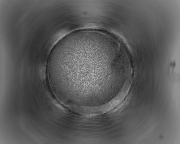 X0000102011409200807251257