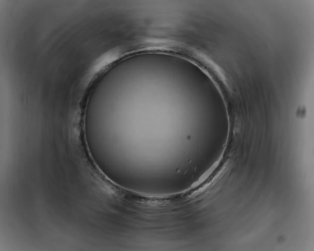 X0000102011411200807251257