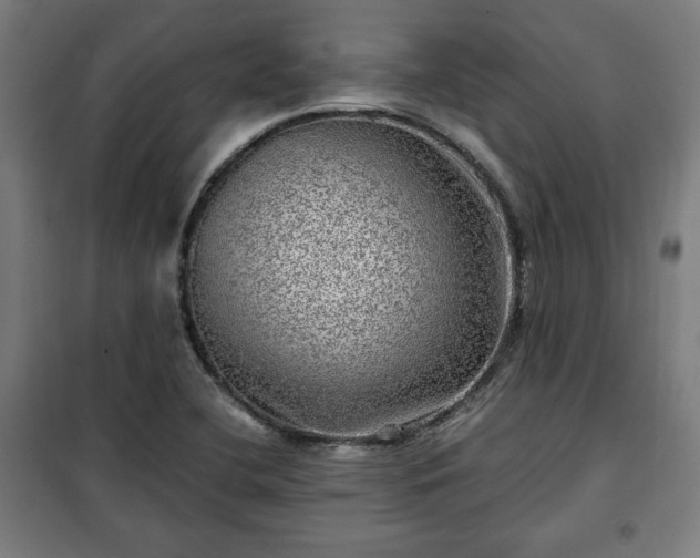 X0000102011412200807251257