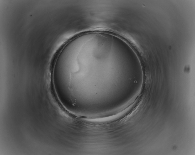 X0000102011414200807251257