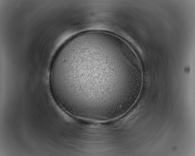 X0000102011416200807251257