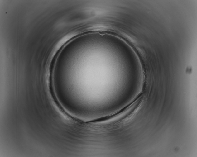 X0000102011418200807251257