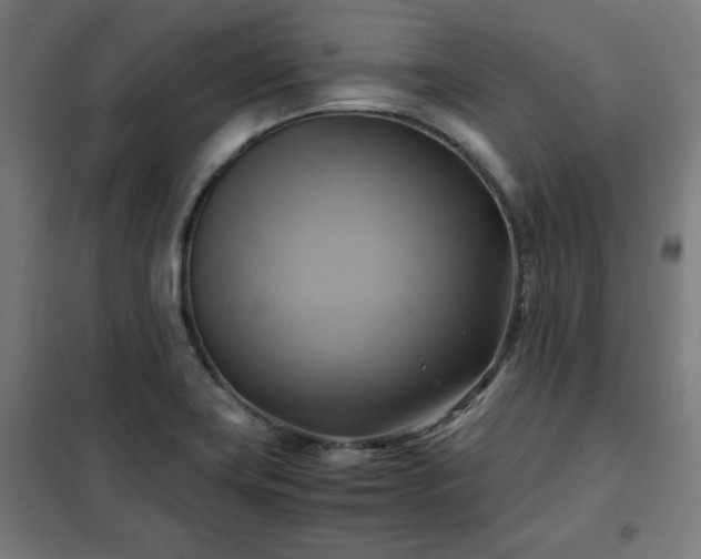 X0000102011419200807251257