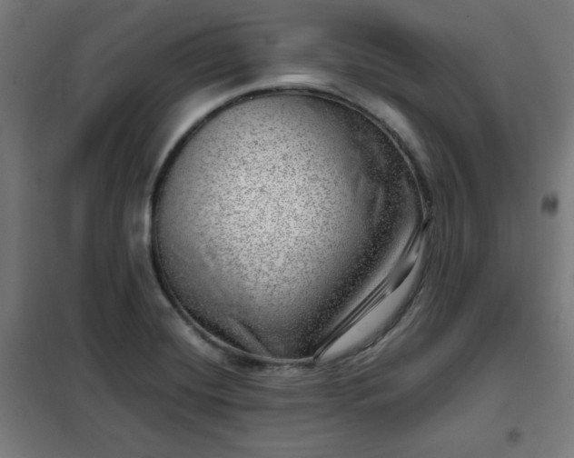 X0000102011420200807251257