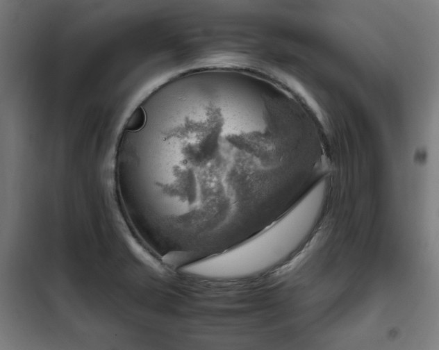 X0000102011421200807251257