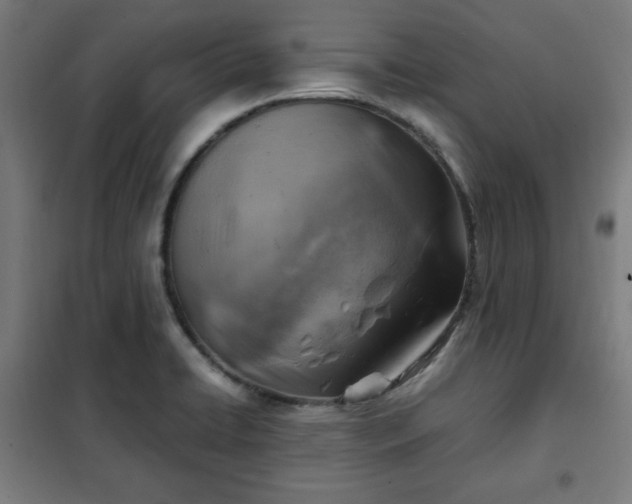 X0000102011422200807251257