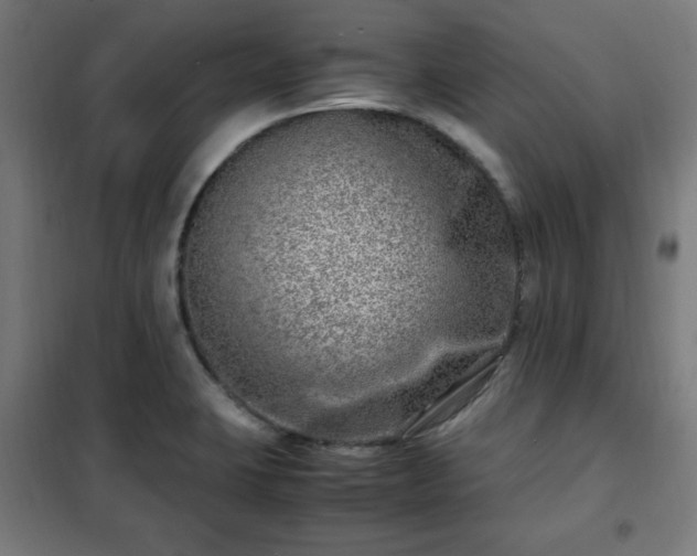 X0000102011423200807251257