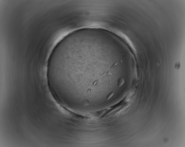 X0000102011424200807251257