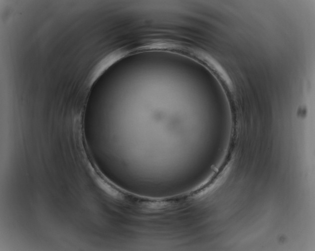 X0000102011425200807251257