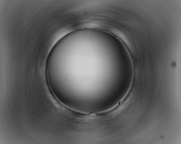 X0000102011426200807251257