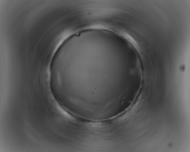 X0000102011428200807251258