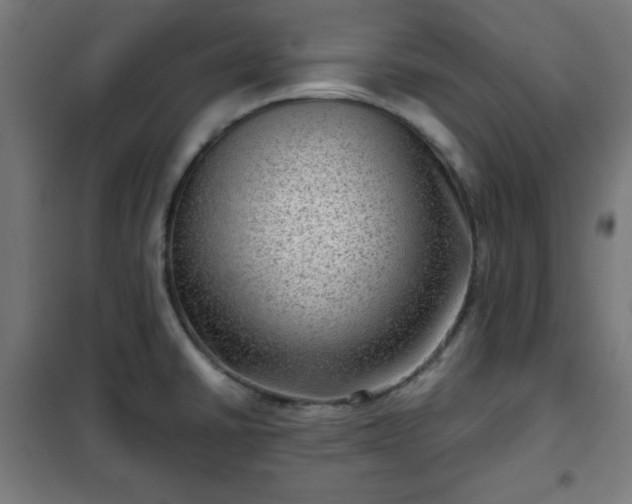 X0000102011430200807251258